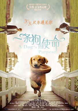 婷婷激情丁香