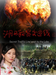 国产成人va亚洲电影