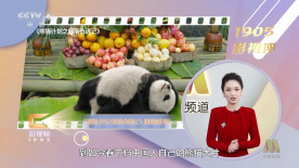 九九热久久免费视频